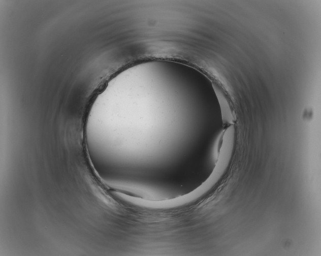 X0000091970397200709201409