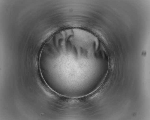 X0000091970398200709201409
