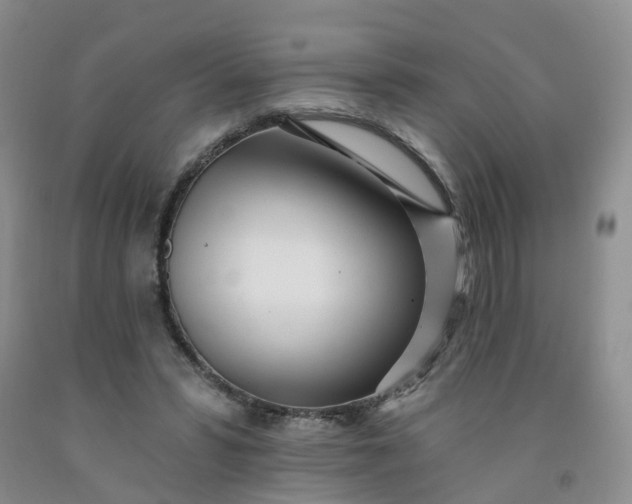 X0000091970399200709201409