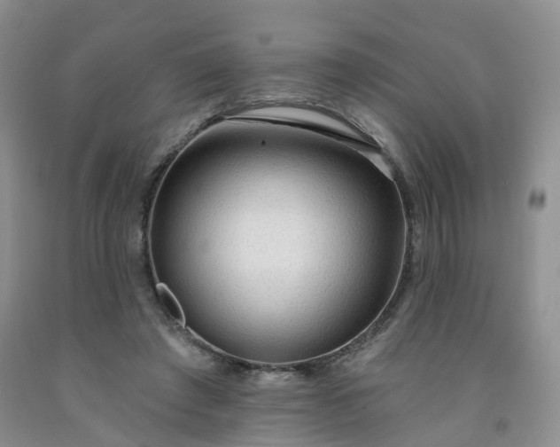 X0000091970401200709201409