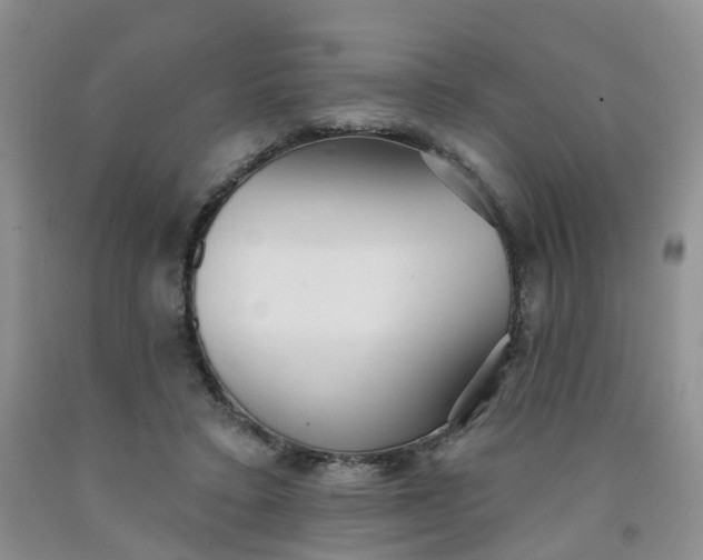 X0000091970403200709201409
