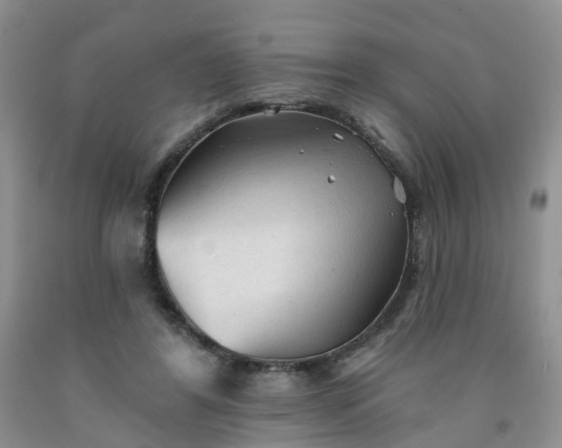 X0000091970404200709201409