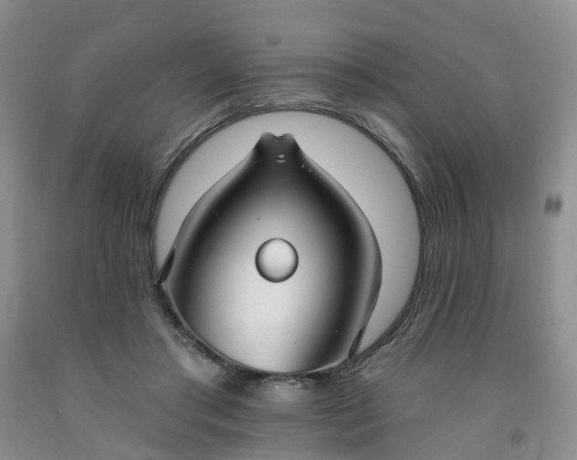 X0000091970405200709201409