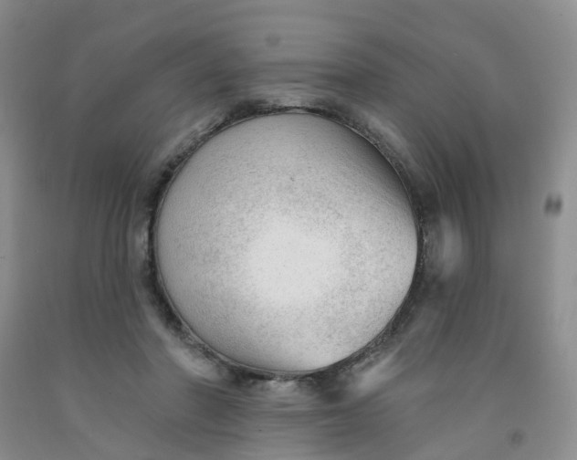 X0000091970406200709201409