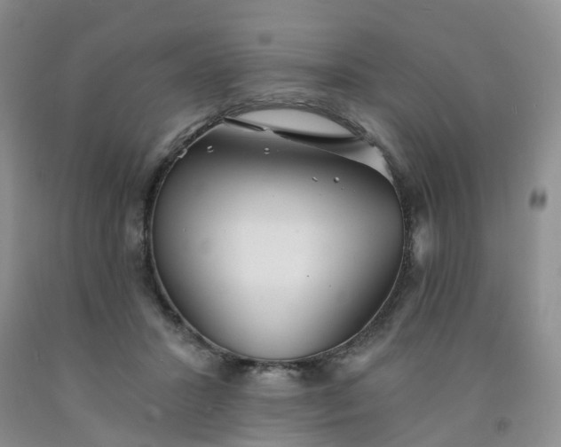 X0000091970407200709201409