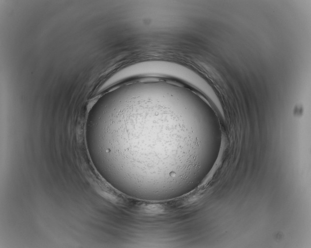 X0000091970409200709201409