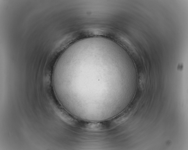X0000091970410200709201409