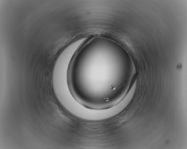 X0000091970411200709201409