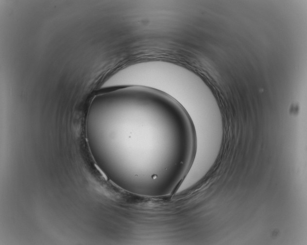 X0000091970412200709201409