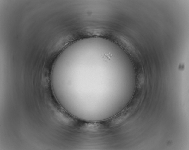 X0000091970414200709201409