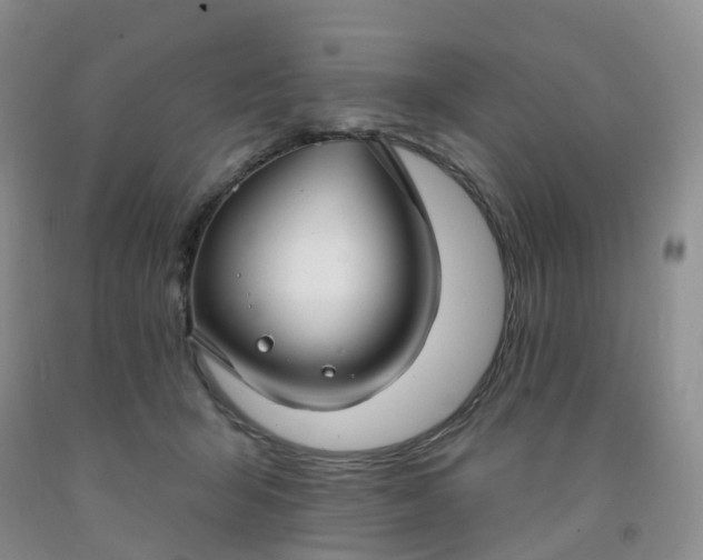 X0000091970415200709201409