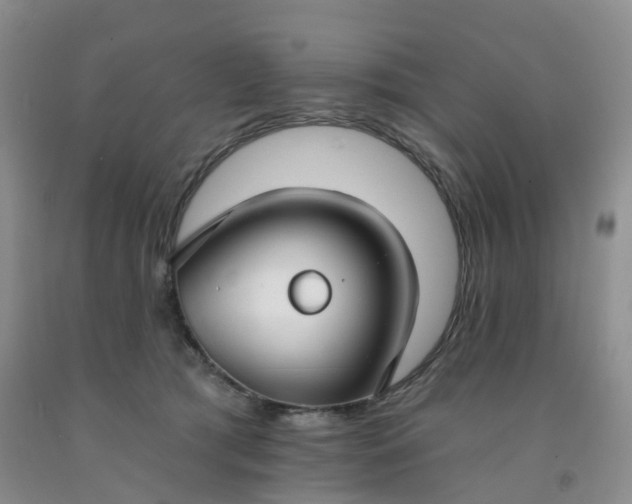X0000091970417200709201409