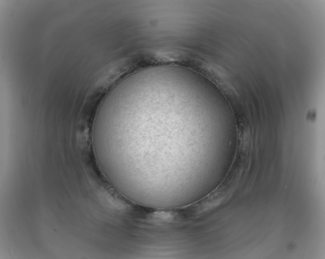 X0000091970418200709201409