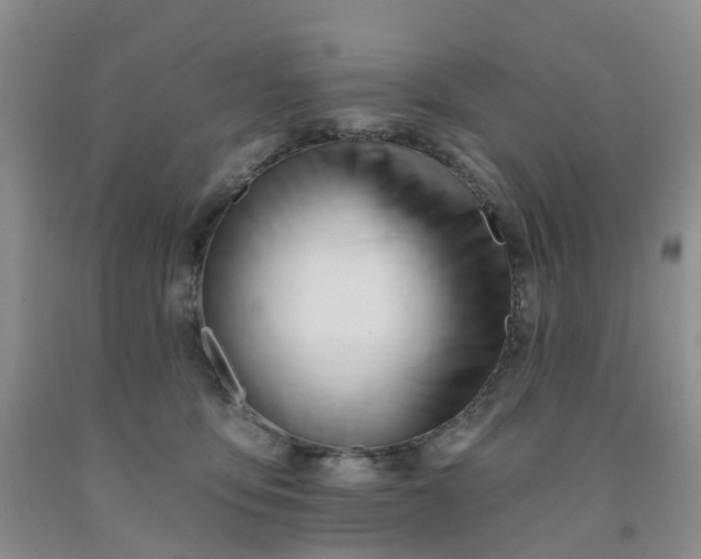 X0000091970419200709201409