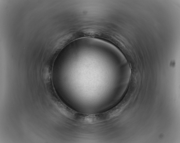 X0000091970420200709201409