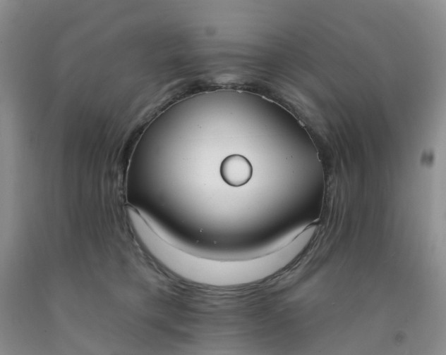 X0000091970421200709201409