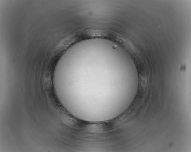 X0000091970422200709201409