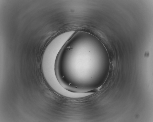 X0000091970423200709201409