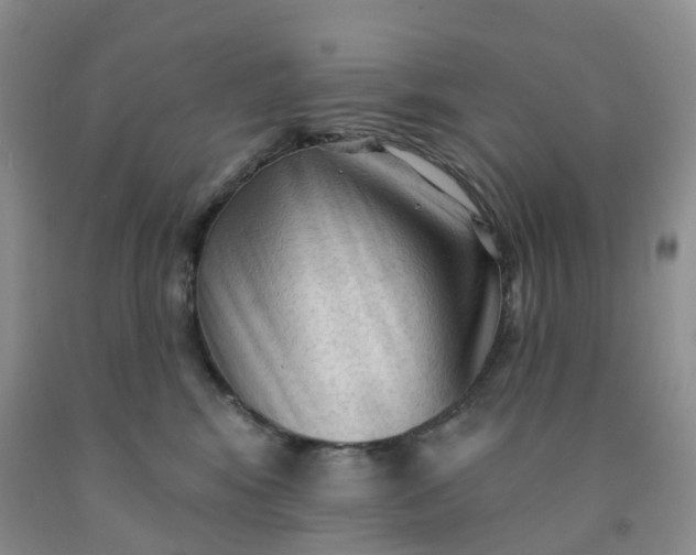 X0000091970424200709201409