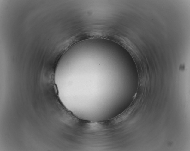 X0000091970425200709201409