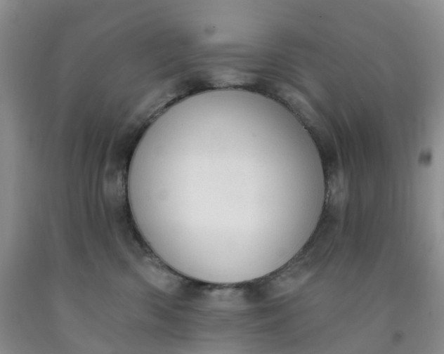 X0000091970426200709201409