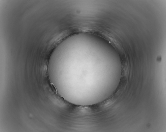 X0000091970427200709201409