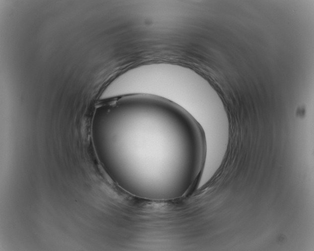 X0000091970428200709201409