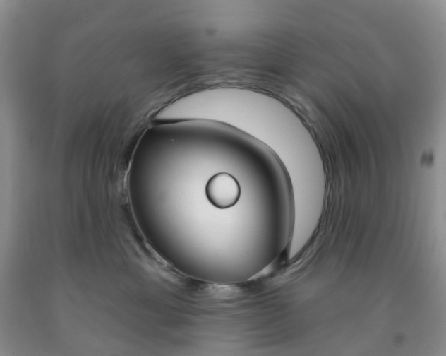 X0000091970429200709201409