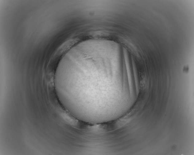 X0000091970430200709201409