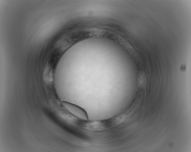 X0000091970431200709201409