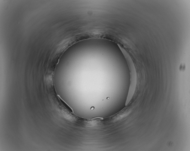 X0000091970432200709201409