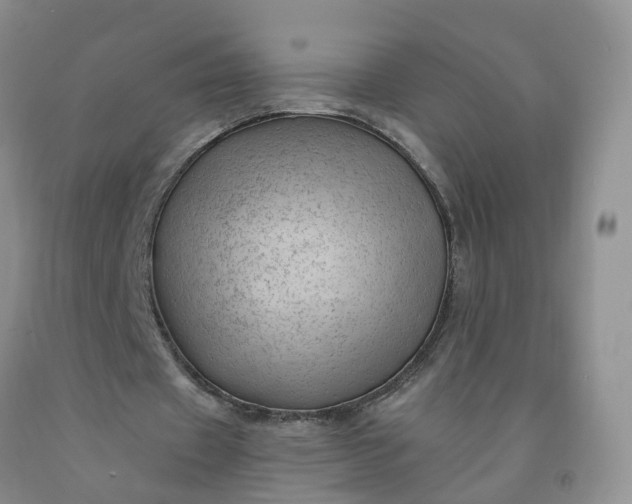 X0000091970433200709201408