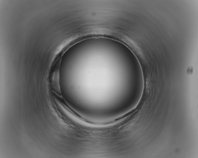 X0000091970436200709201408