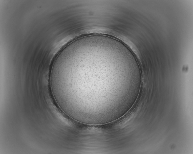 X0000091970437200709201408