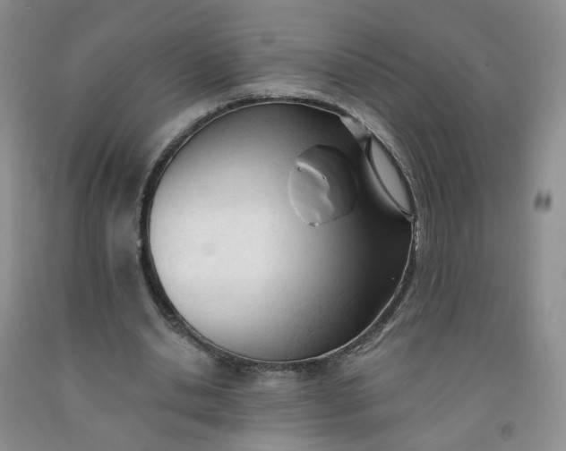 X0000091970438200709201408
