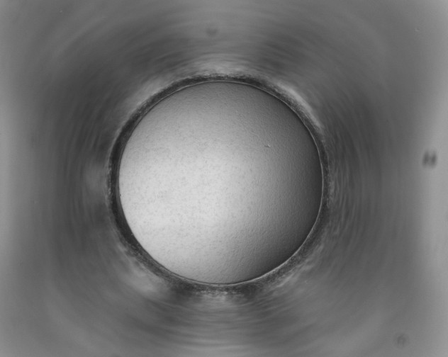 X0000091970439200709201408