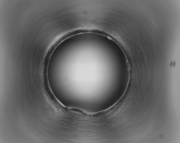 X0000091970440200709201408