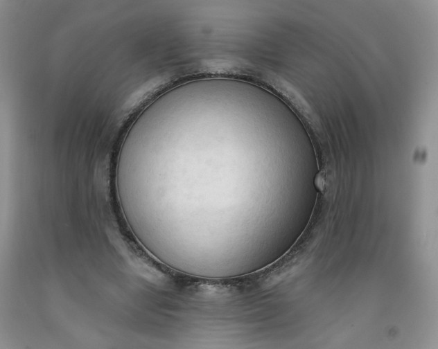X0000091970442200709201408