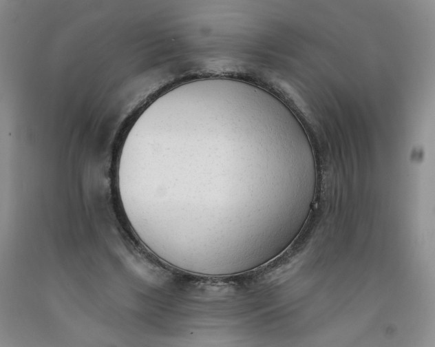 X0000091970443200709201408