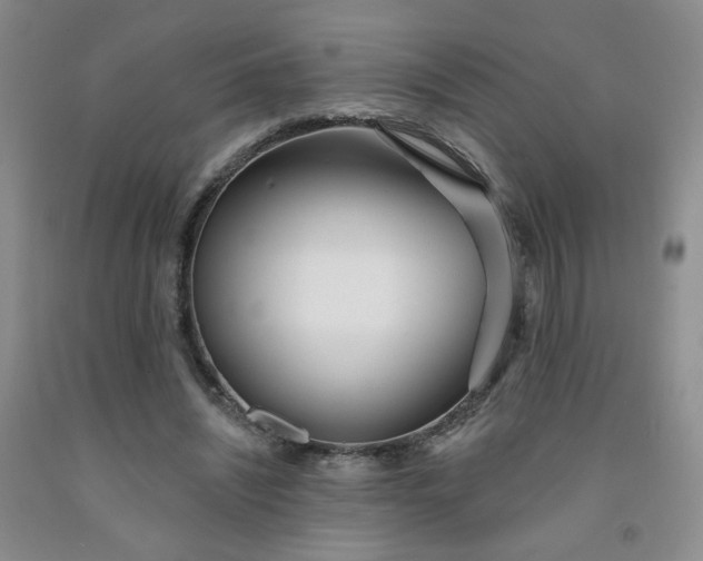 X0000091970444200709201408