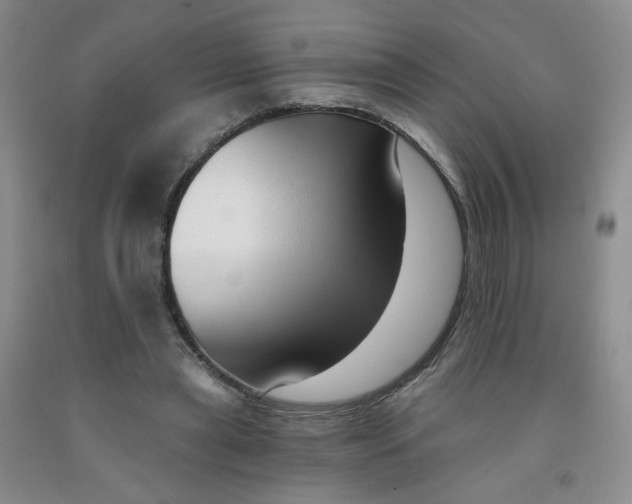 X0000091970445200709201408