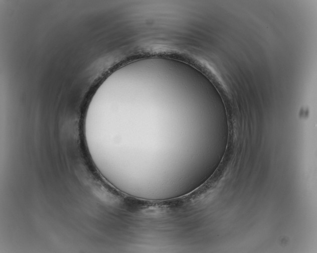 X0000091970447200709201408