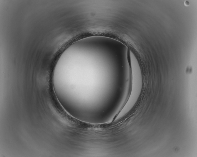 X0000091970448200709201408