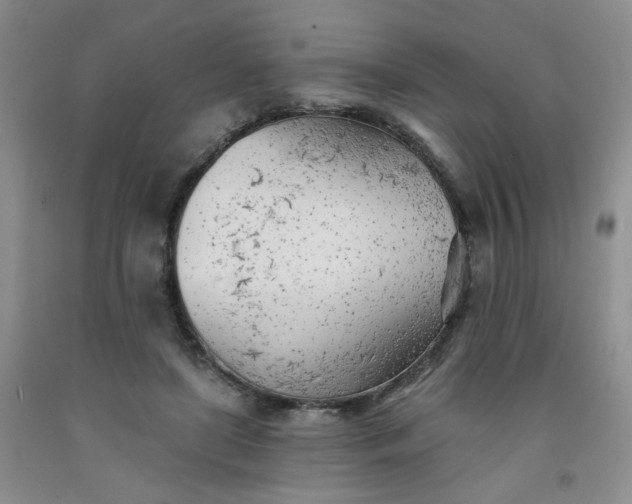 X0000091970451200709201408