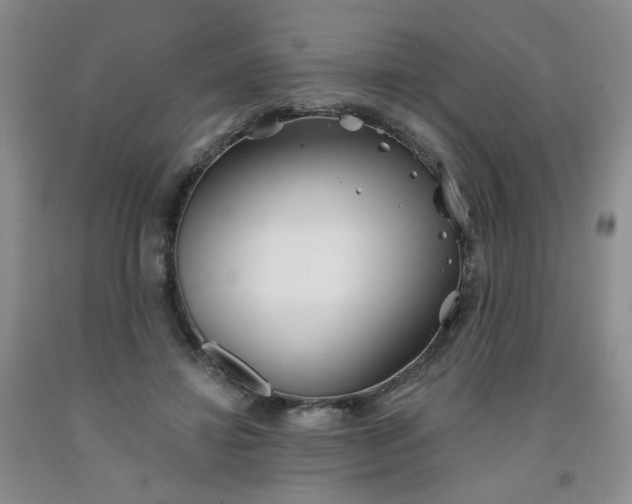 X0000091970452200709201408