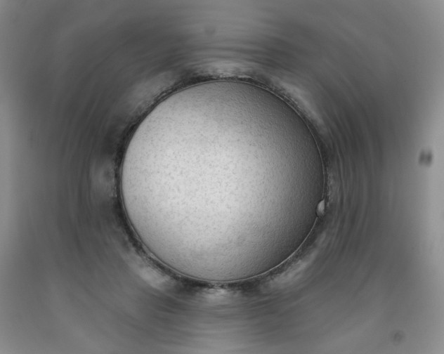 X0000091970453200709201408