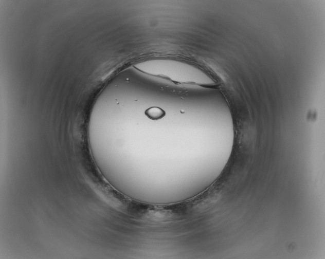 X0000091970455200709201408