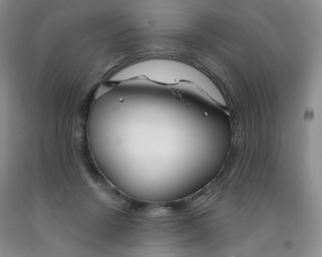 X0000091970456200709201408