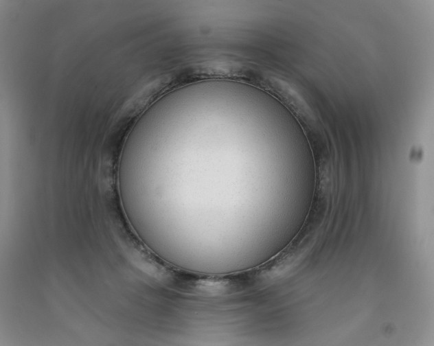 X0000091970457200709201408