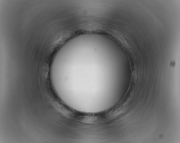 X0000091970458200709201408